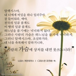 사람의 가슴