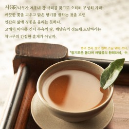 차茶나무의 간절한 훈계