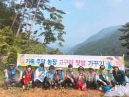 진안고원치유숲- 주말가족농장.고구마가꾸기 행사