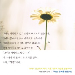 나는 천국을 보았다